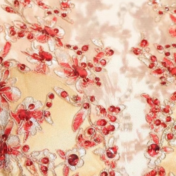 MEIER Women’s Illusion Long Sleeve Embroidery Prom/Formal Dress – Size 8 NWT - Picture 6 of 16